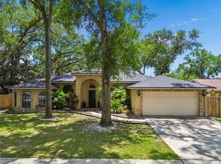 3602 Arlington Oaks Ct, Tampa, FL 33618