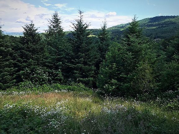 Natural flowers galore.