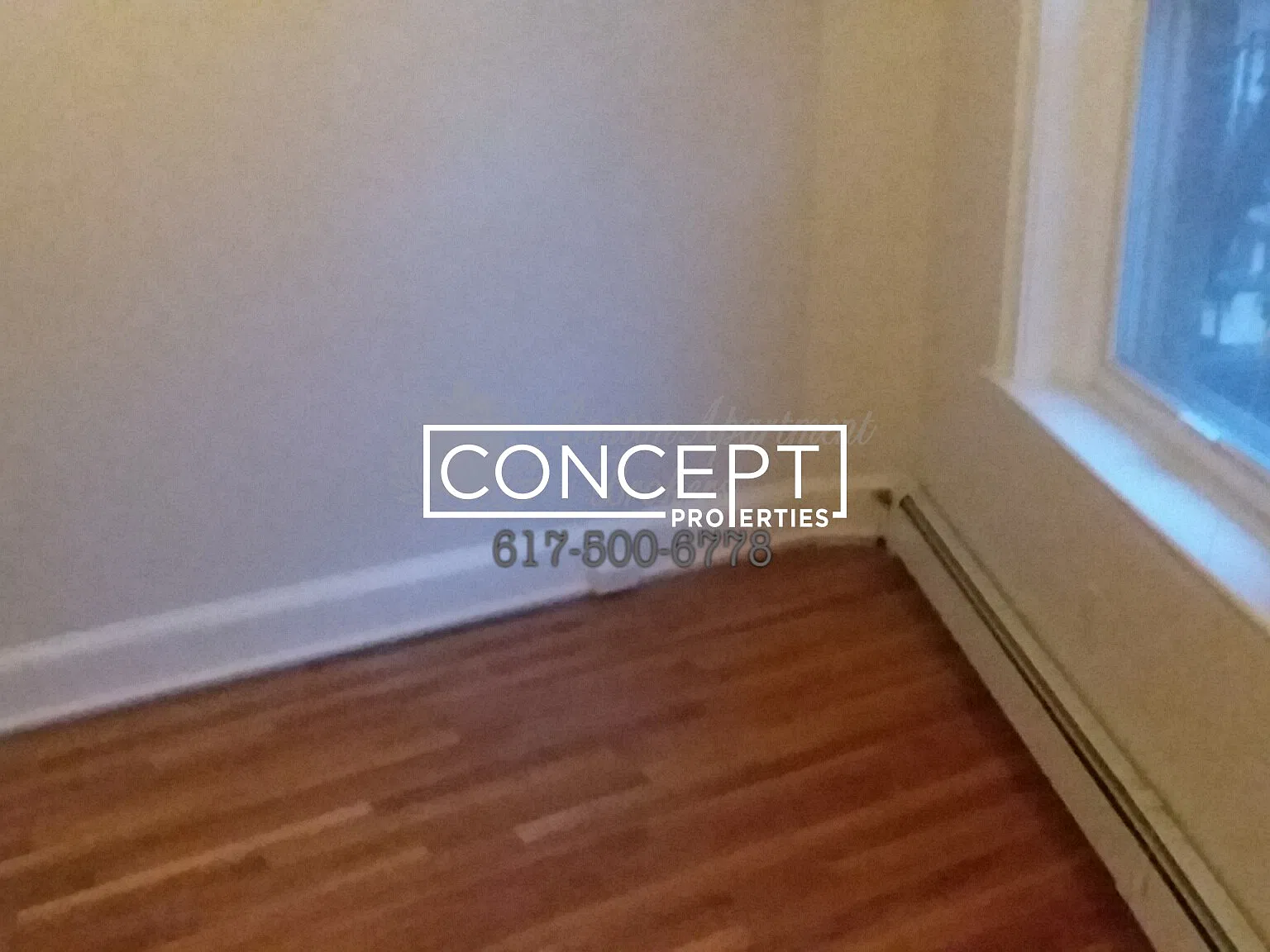 2 bed, 1.0 bath, $3,550 — Photo 4
