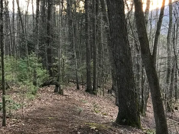 Tbd00 Mohawk Dr, Mountain City, TN 37683