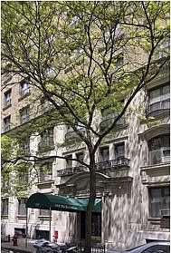 1st image of 782 W End Ave #2