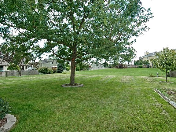 Expansive Backyard