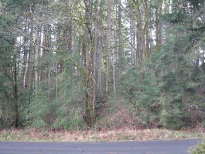 17938 Clear Lake Blvd SE, Yelm, WA, 98597