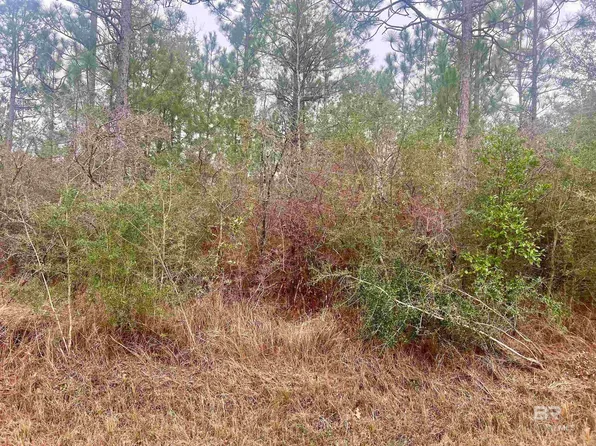 0 John Shinn Rd #3, Chunchula, AL 36521
