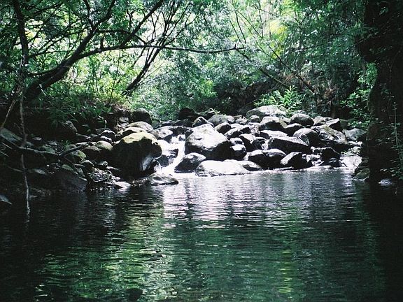 2nd image of Onohi Loop & Lalahiwa Lot 10 & 11