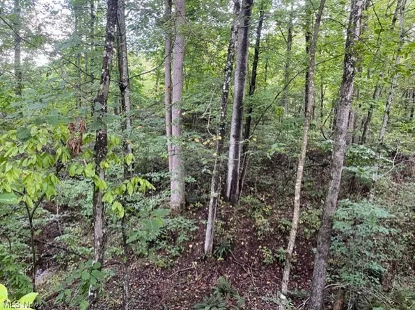 0 Slab Hill Rd, Oak Hill, OH 45656