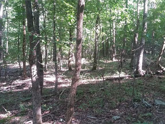 5th image of 40 Acres Wc #103