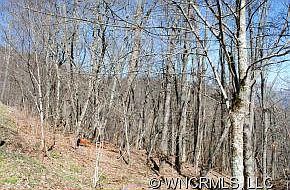 4th image of C 1 Spruce Patch #C1