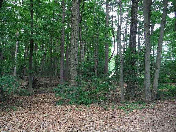 5th image of Old Trail Dr