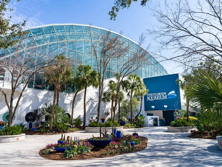 The Florida Aquarium keeps Modera Encore moments from immersive exhibits, waterfront views, and one of Tampa's most celebrated attractions.