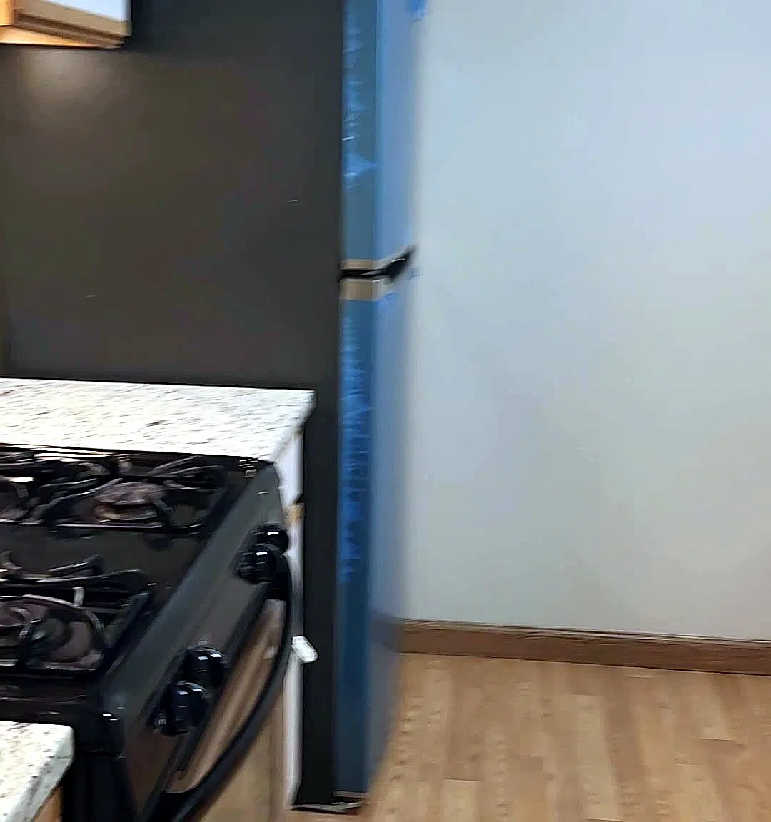 1 bed, 650 sqft, $1,800 — Photo 3