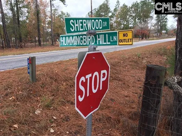 140 Hummingbird Hill Ln, Lexington, SC 29073