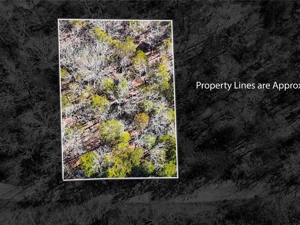 10314 Lake Hill Trl, Hillsboro, MO 63050