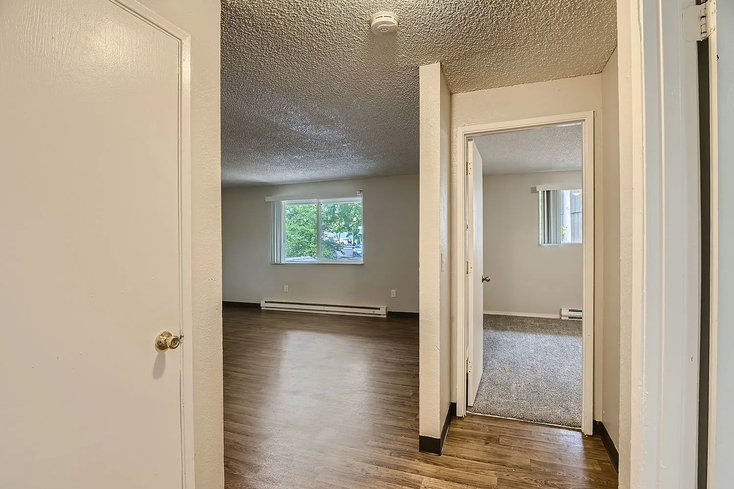2 bed, 1.0 bath, 875 sqft, $1,245 — Photo 4