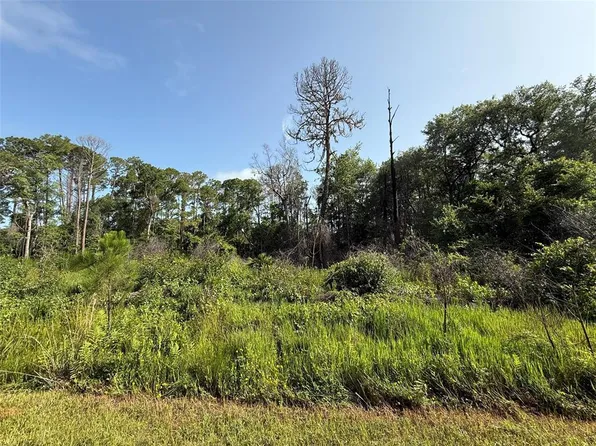 204 Hazel Ave #26, Georgetown, FL 32139