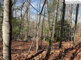 0 Rhoneys View Rd, Newland, NC 28657