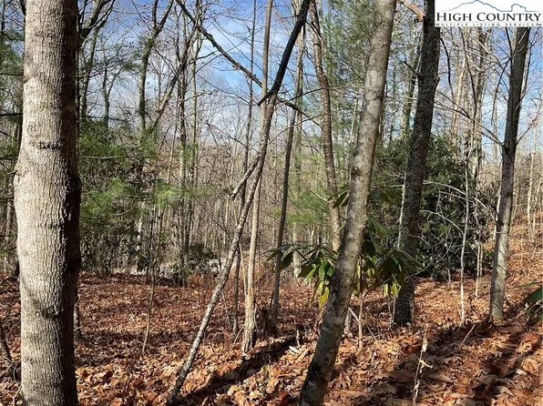 000 Rhoneys View Road, Newland, NC 28657