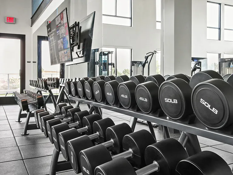 Gym with dumbbells