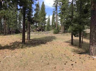 153 Saddle Ridge Rd UNIT 9, Clio, CA 96106
