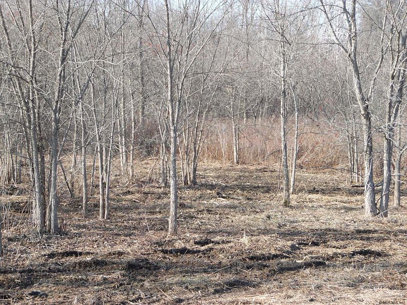 2nd image of 24 STANIAK Road