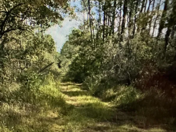 Orange Grove Rd, Moss Pt, MS 39562