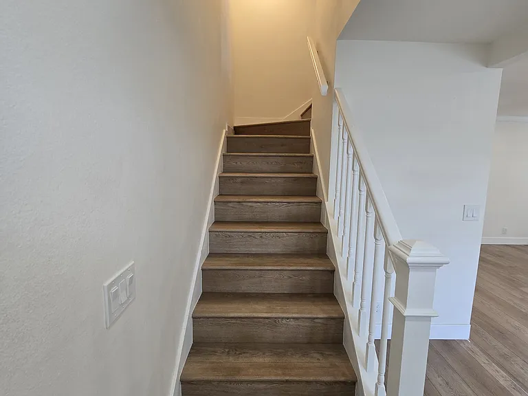 10 Goldenbush — Photo 12