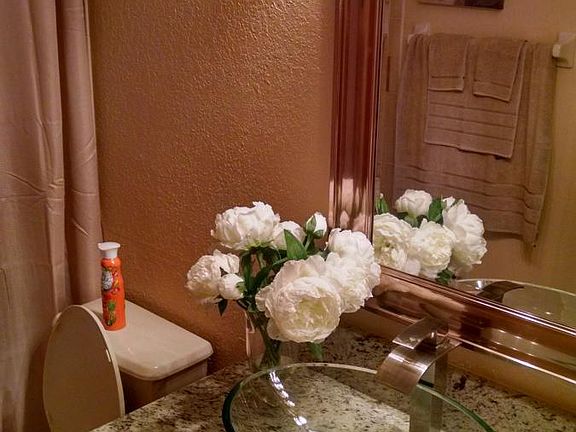 Remodeled Bath1 w/granite