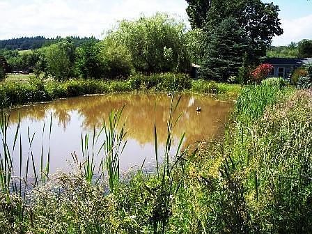 Pond