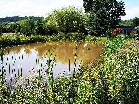 12775 Maxfield Creek Rd photo 1