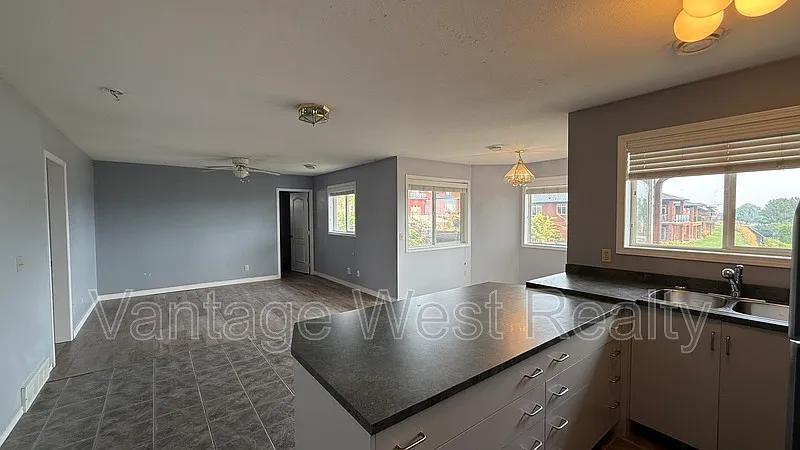 1 bed, 2.0 bath, $1,500 — Photo 4