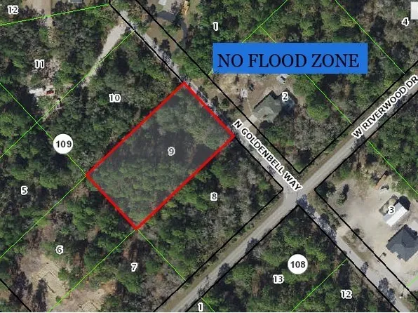 9620 N Goldenbell Way, Crystal River, FL 34428