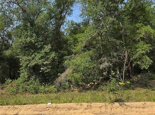 0 SHERMAN DRIVE CIRCLE LOT 11, INTERLACHEN, FL 32148