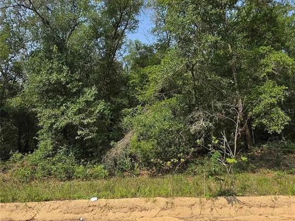 0 SHERMAN DRIVE CIRCLE LOT 11, INTERLACHEN, FL 32148