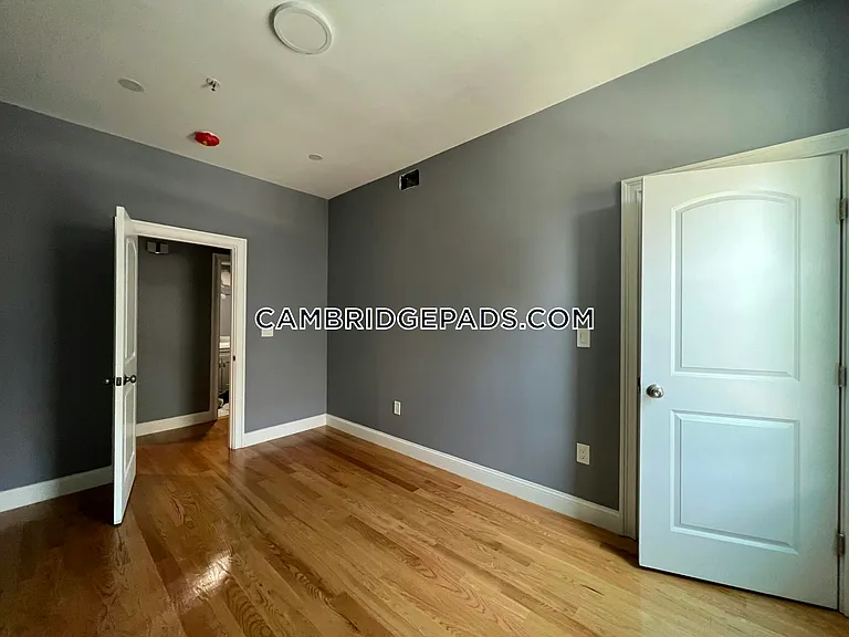 341 Cambridge St #3 — Photo 3