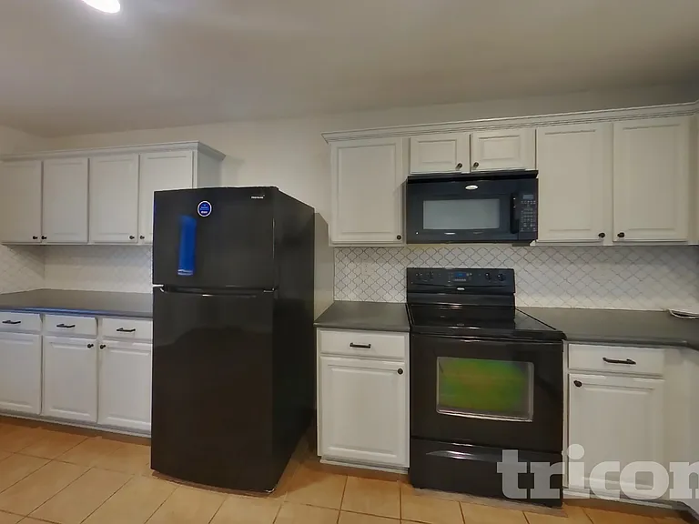 529 Blue Sage Dr — Photo 6