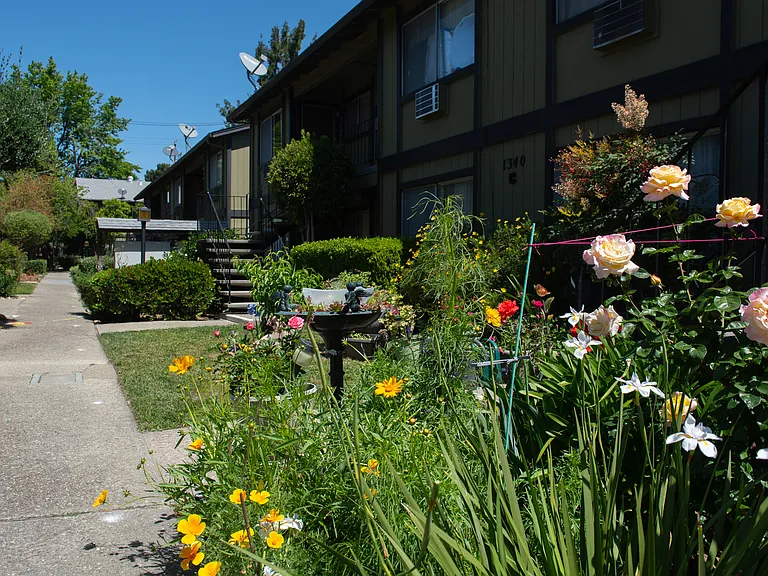 1340 Fruitdale Ave #C-4 — Photo 3