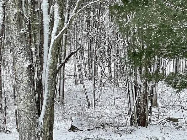 L37.31 Potter Hill Road, Petersburgh, NY 12138
