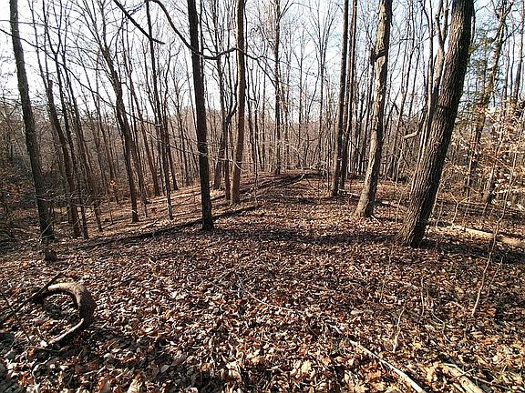 3rd image of 0 Union Church Rd