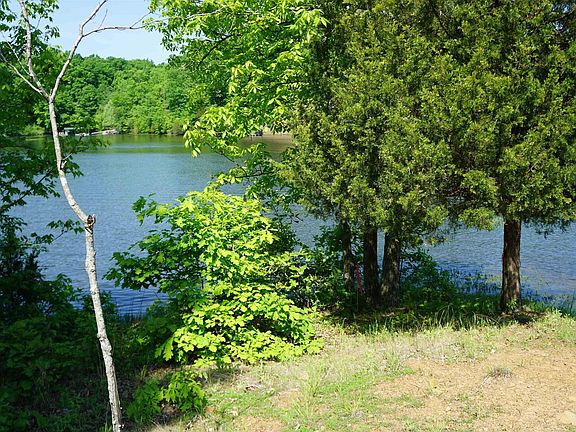 3rd image of LOT 108 Deer Lane