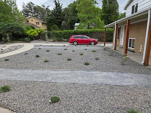 front yard
