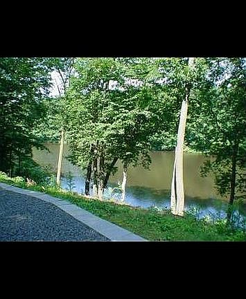 5th image of 48 North Dr