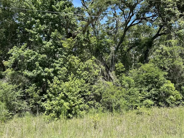 00 SE 709th St, Old Town, FL 32680