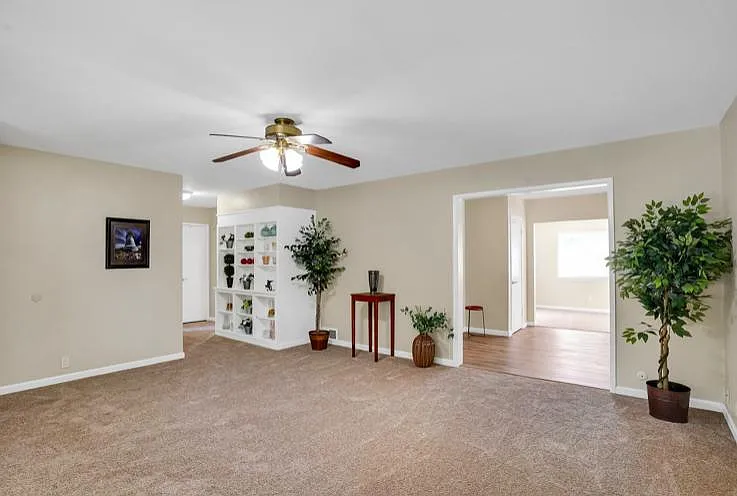 173 Fig Tree Ln — Photo 8
