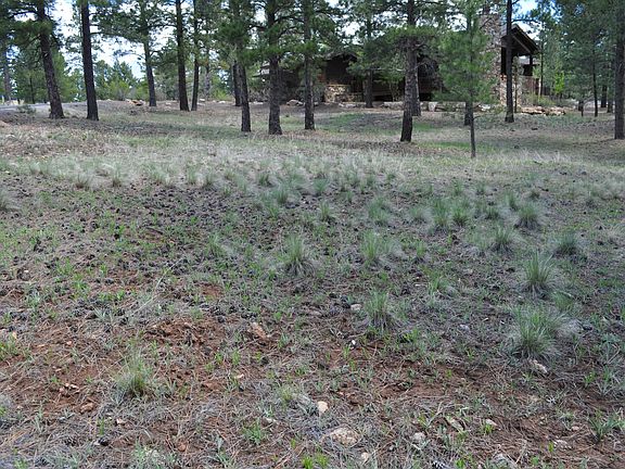 3rd image of 1591 E Castle Hills Dr