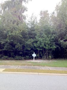 R14 Battery Park Ln, Waverly, GA, 31565