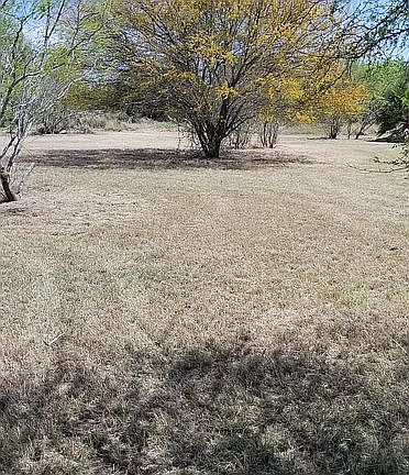 4th image of 109 Bayview Palm Dr