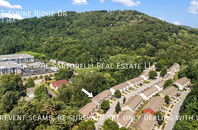 163 Alpine Ridge Dr — Photo 30