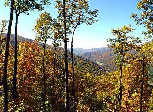 Autumn View