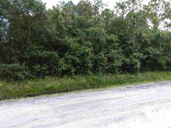 3rd image of 10610 Allison Ave