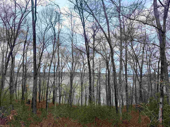 LOT 37&38 Imperial Loop, Cherokee, AL 35616